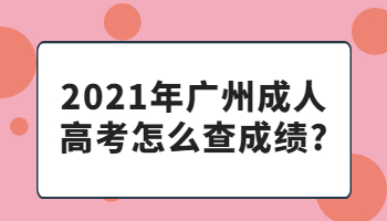 廣州成人高考怎么查成績