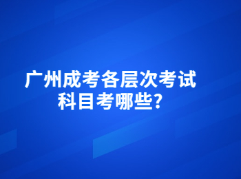 廣州成考考試科目