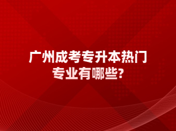 廣州成考專升本熱門專業(yè)